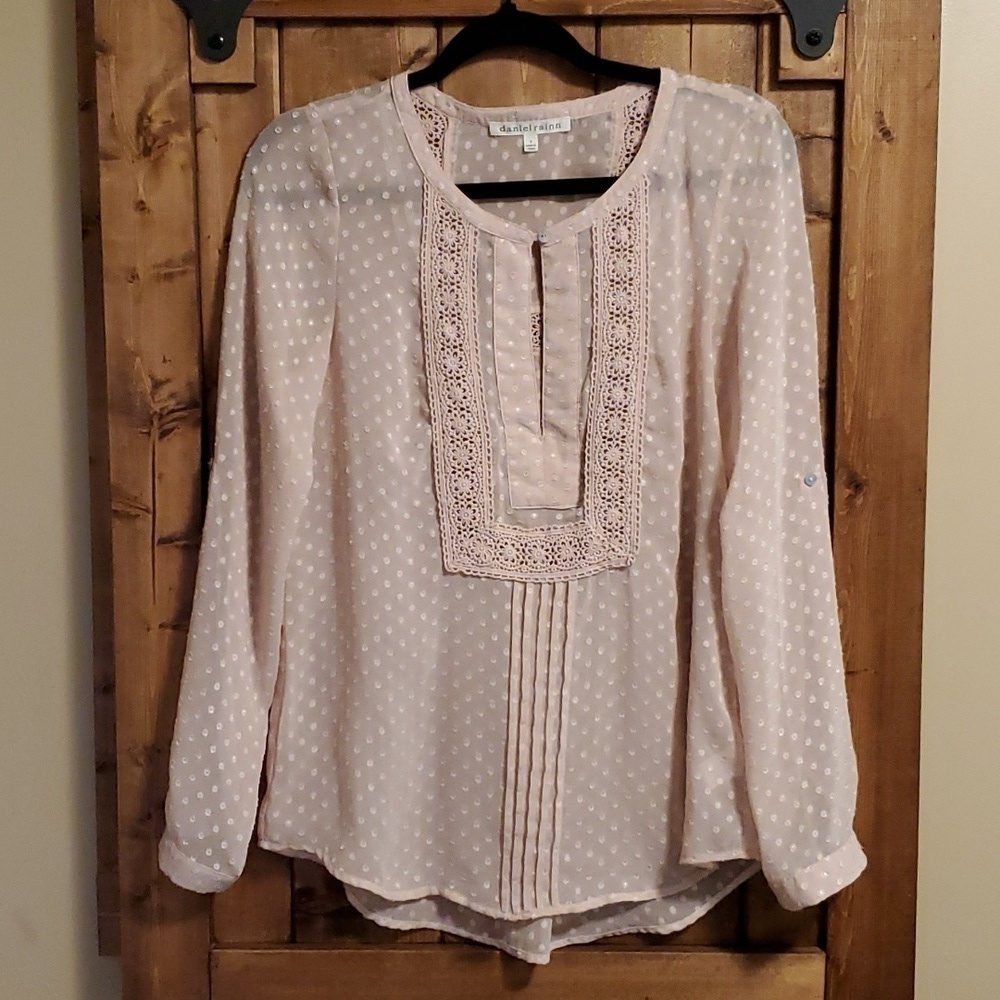 Daniel Rainn Dusty Rose Swiss Dot Sheer Top Size Small
